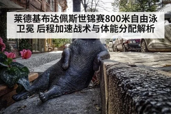 莱德基布达佩斯世锦赛800米自由泳卫冕 后程加速战术与体能分配解析