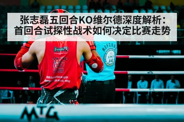 张志磊五回合KO维尔德深度解析：首回合试探性战术如何决定比赛走势
